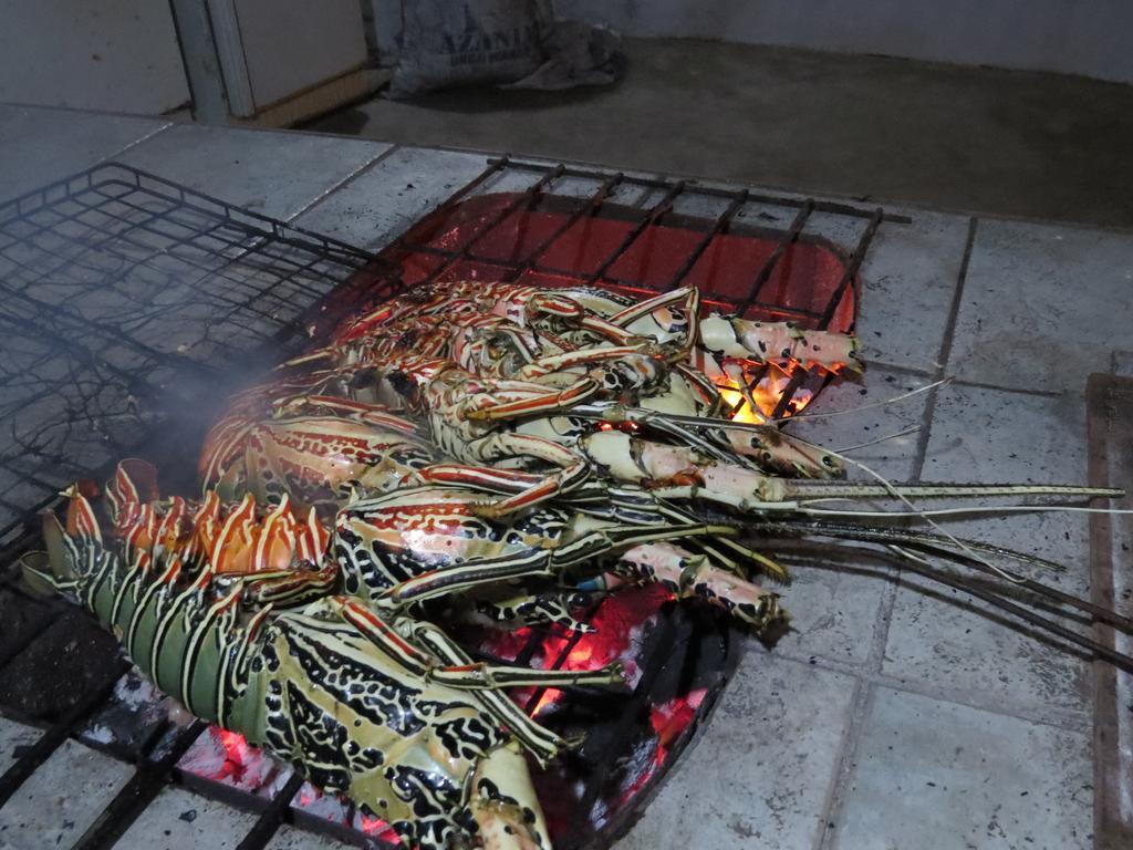 Game Fish Lodge Нунгви Екстериор снимка